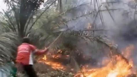 Kabut Asap Kembali Pekat Siswa Di Jambi Libur Lagi News Liputan