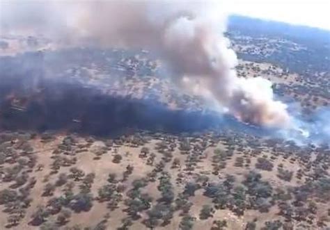 Incendio Córdoba aviones del Infoca trabajan en la extinción de un