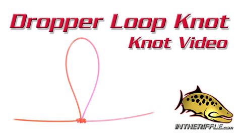 Dropper Loop Knot Tying Video Fly Fishing Knots Fly Fishing Knots