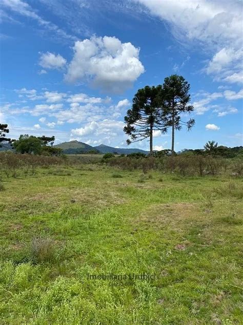 Fazenda S Tio Em Zona Rural Em Urubici Por R Viva Real