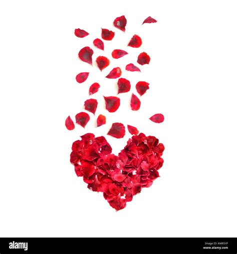 Heart Made Of Rose Petals Red Rose Petals Heart Over White Background