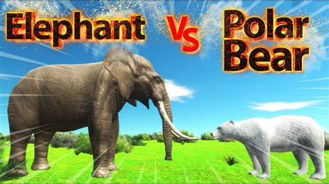 Elephant Vs Polar Bear Arbs Youtube