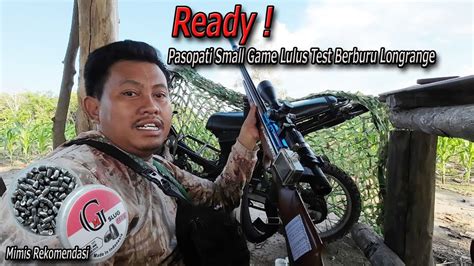 Ready Unit Siap Diajak Longrange Berburu Tekukur Jarak Jauh YouTube