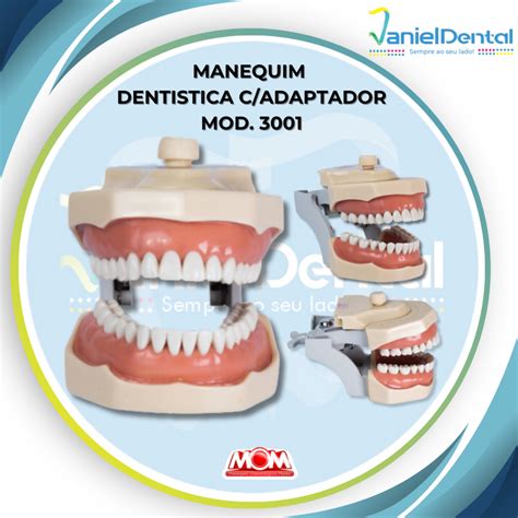 Manequim Dentario Mom Comprar Em Daniel Dental