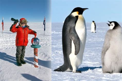 20 Coolest Facts & Secrets Of Coldest South Pole | Antarctica | Reckon Talk