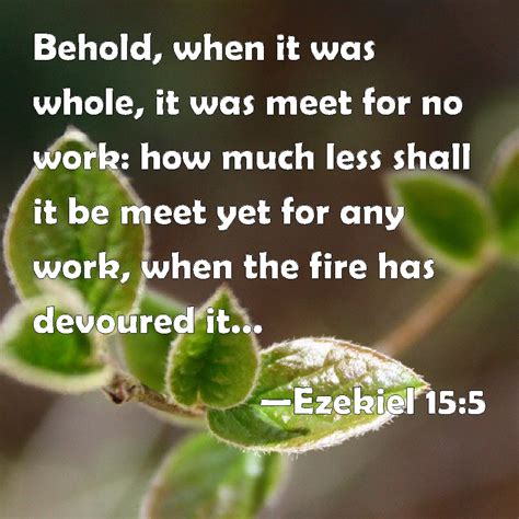 Ezekiel 15:5 Behold, when it was whole, it was meet for no work: how much less shall it be meet ...