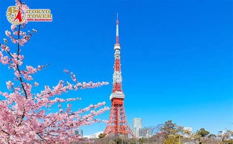 東京鐵塔大展望台150m 門票