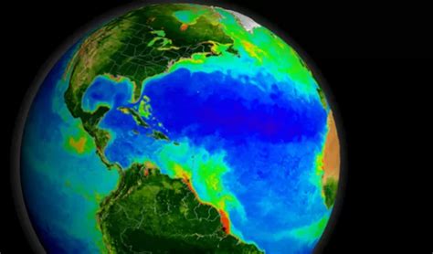 New Model Sheds Light On Daynight Cycle In The Global Ocean Nsf