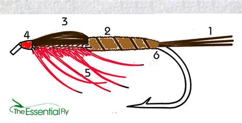 Tying Nymph Fly patterns