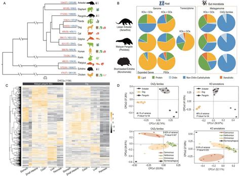 Summary Of Comparative Host Genomic Transcriptomic And Gut Metagenomic