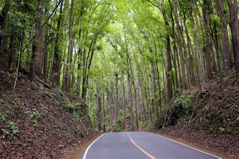 Discovery Bohol City Philippines Editorial Photo - Image of environement, philippians: 108297311