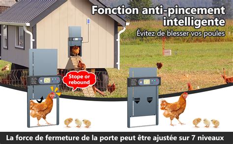 New Porte Poulailler Automatique Solaire Masterfun Porte