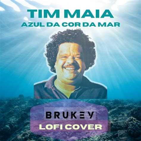 Stream Tim Maia Azul Da Cor Do Mar Brukey Lofi Cover By