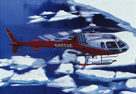 Mendenhall Glacier Helicopter Tour & Glacier Walk | Alaska Shore Excursions