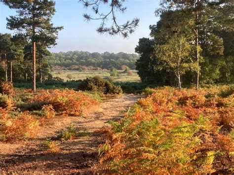 RSPB Minsmere Visit Suffolk