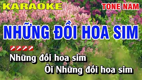 Karaoke Nh Ng I Hoa Sim Tone Nam Nh C S Ng Nguy N Linh Youtube