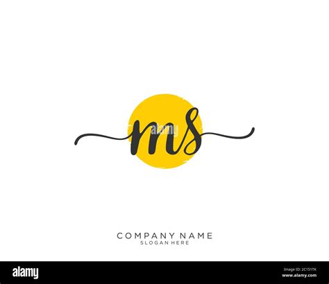 Ms Vector Hi Res Stock Photography And Images Alamy