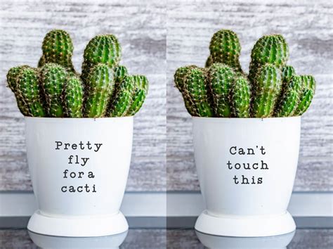 Funny Pun Plant Decal Stickers Succulent Cactus Herb Pot Etsy