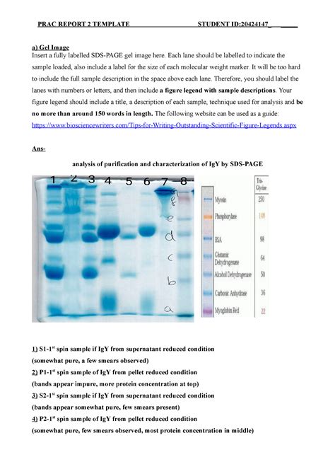 Prac Prac Experimental Results A Gel Image Insert A Fully