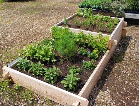 Raised Bed Gardening Special