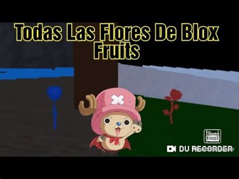 Todos Los Spawn De Las Flores Azules Rojas Y Doradas Roblox Blox