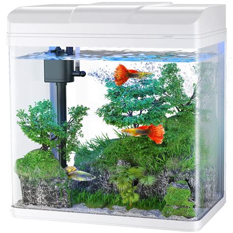 Mua Pondon Fish Tank Gallon Glass Aquarium With Air Pump Led