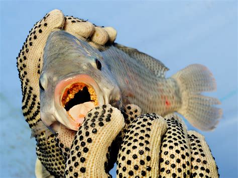 Aquaculture - National Geographic