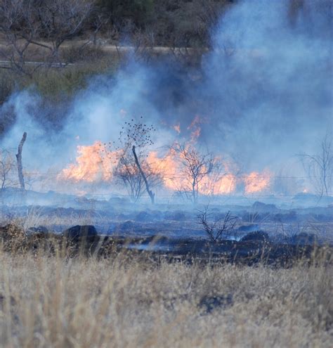 Durango Ya Registra Dos Incendios Forestales