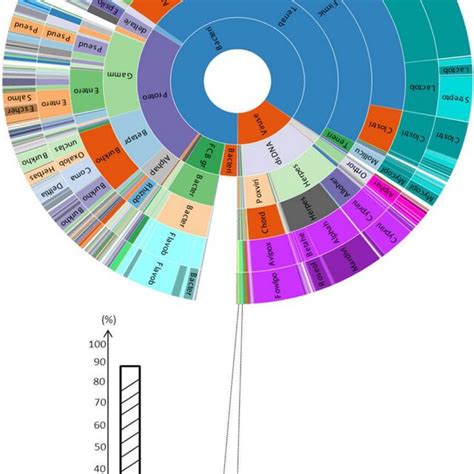 Metagenomics Profiling Of The 19 03914 Liver Sample From A Pheasant