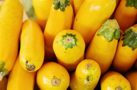 Great Types Of Squash For Beginners To Grow