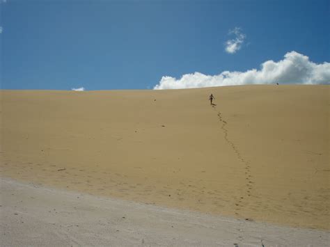 Sand Dunes, Fraser Island, QLD | Fraser island, Travel around ...