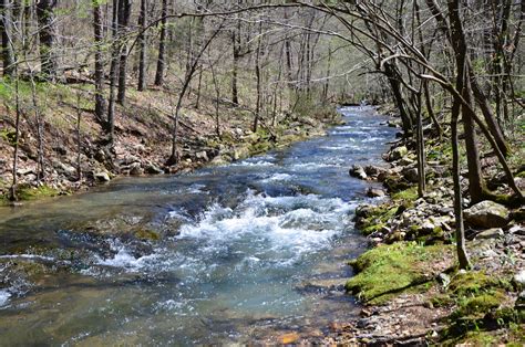 Buckeye Trail Caney Creek Trail Loop Ouachita Forest 9 Mi