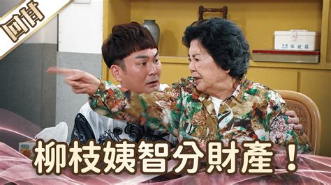 《好戲回甘》愛的榮耀 Ep224 柳枝姨智分財產！ Youtube