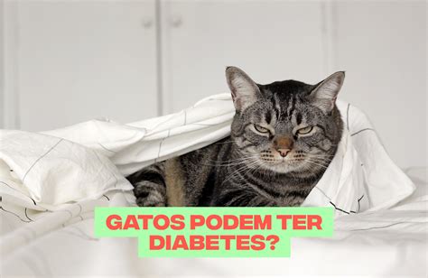 Blog Cansei De Ser Gato