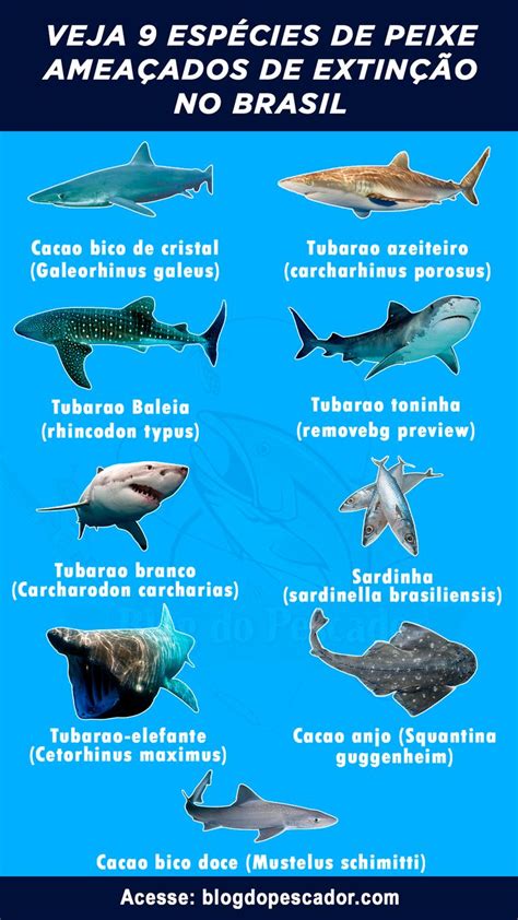 Peixes Em Extinção No Brasil