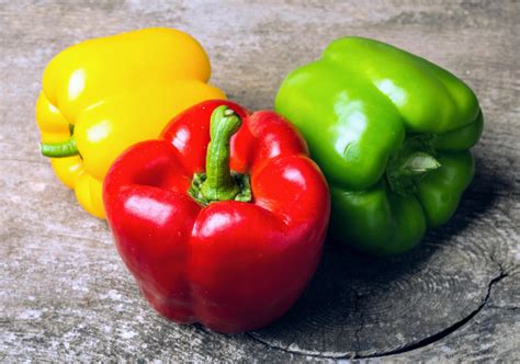 It’s in the genes: humans traded peppers along global trade routes