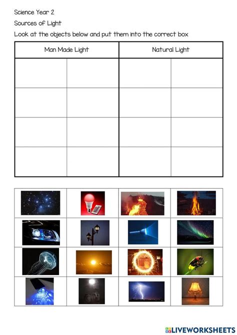 Light Online Worksheet For Year 2 You Can Do The Exercises Online Or