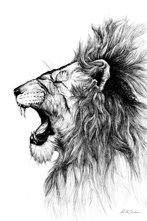 Lion of judah Drawing by Mirella Dantuma | Saatchi Art