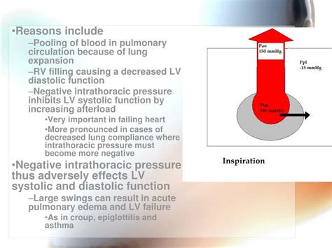 Ppt Cardiopulmonary Interactions Powerpoint Presentation Free