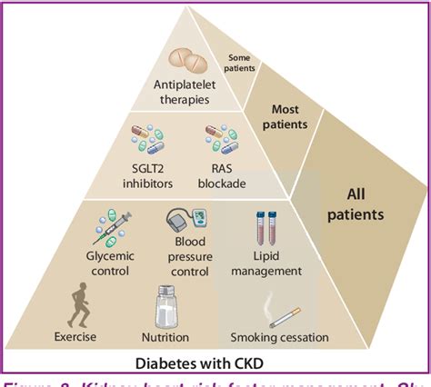 Figure 2 From Kdigo 2020 Clinical Practice Guideline For Diabetes