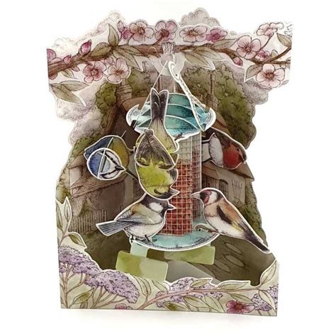 Garden Birds Biglietto D Auguri Swing Card Santoro D Pop Up