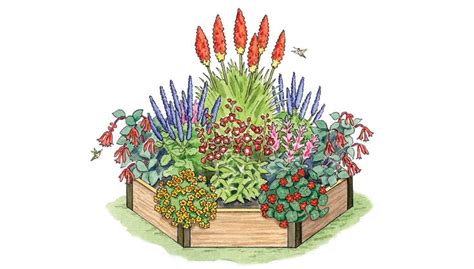 Hummingbird Garden Layout | Fasci Garden