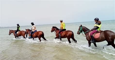 Sousse Monastir Excursion Priv E Cheval Avec Transfert Getyourguide