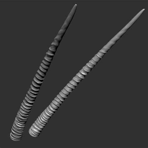 Oryx Horns 3D Model $49 - .obj .ztl - Free3D