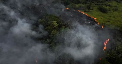 Sequía los incendios forestales en la Amazonía de Brasil suben un 52 3