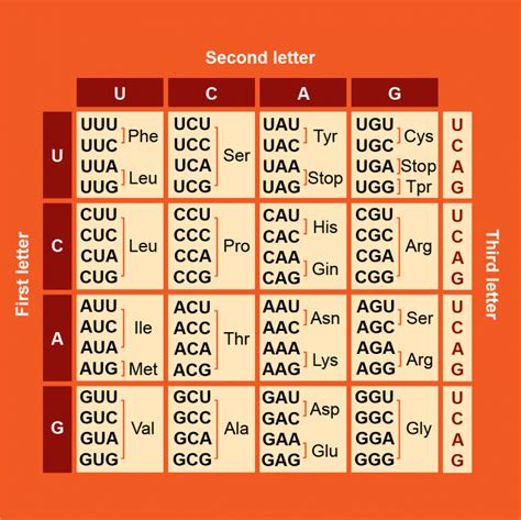 Nucleic Acids Chemistry For Biology 1190 Students