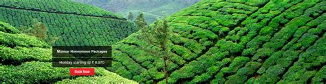 Munnar Honeymoon Packages: Book Honeymoon Trip To Munnar Online | Sotc