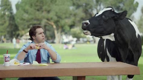 Chick Fil A Tv Commercial Copy Cow Ispot Tv