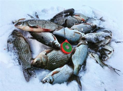 Звіт з рибалки Нетішин земснаряд - Rivnefish