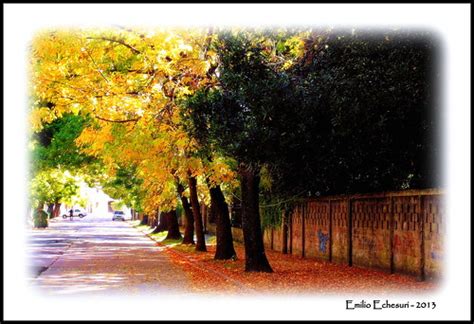 Calle De Oto O Emilio Ignacio Echesuri Flickr